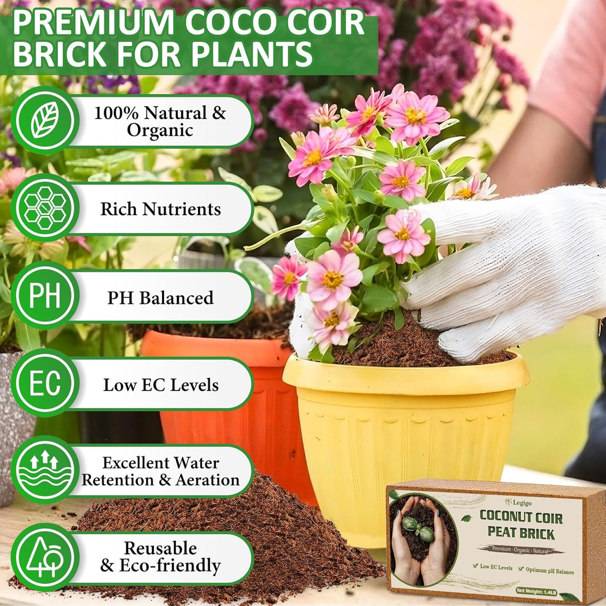 Legigo 12 Pack Premium Coco Coir Brick for Plants- 100% Organic Compressed Coconut Coir Bricks