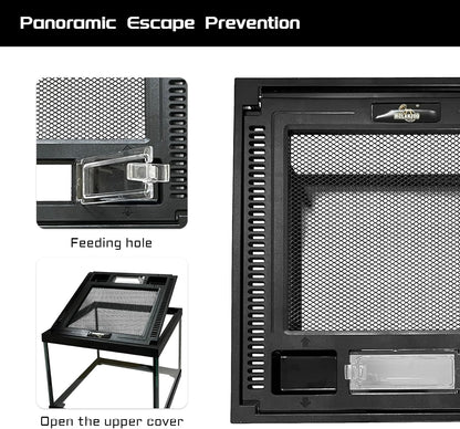 Mini Reptile Glass Terrarium Tank 8 * 8 * 6" Full View, Amphibians Box Habitat Enclosure Cage for