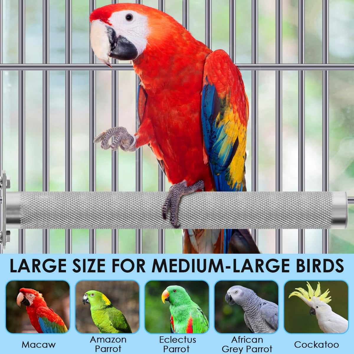 KATUMO Parrot Perch - Stainless Steel African Grey Perch Bird Cage Accessories for Small to Large