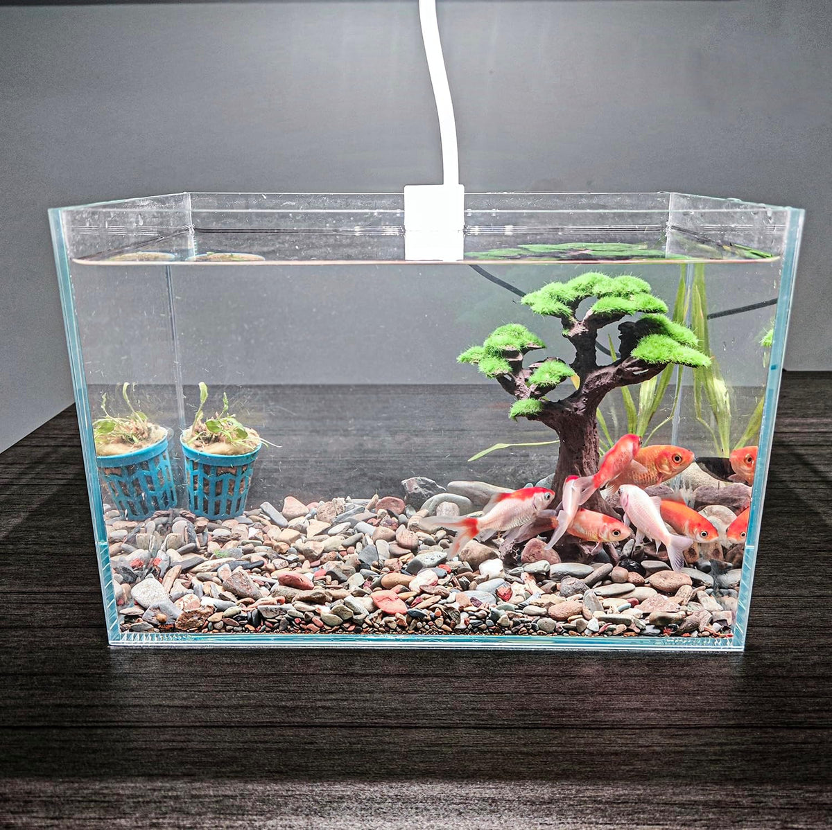 Novelsite Fish Tank Decor- Small Bonsai Trees with Faux Moss- Aquarium Decoration Aqua scaping