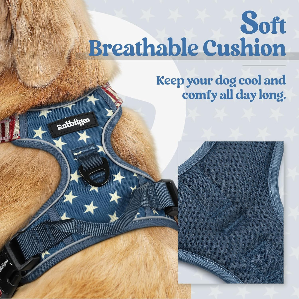 rabbitgoo Dog Harness No Pull with 2 Leash Clips, Adjustable Soft Padded, Reflective Oxford No