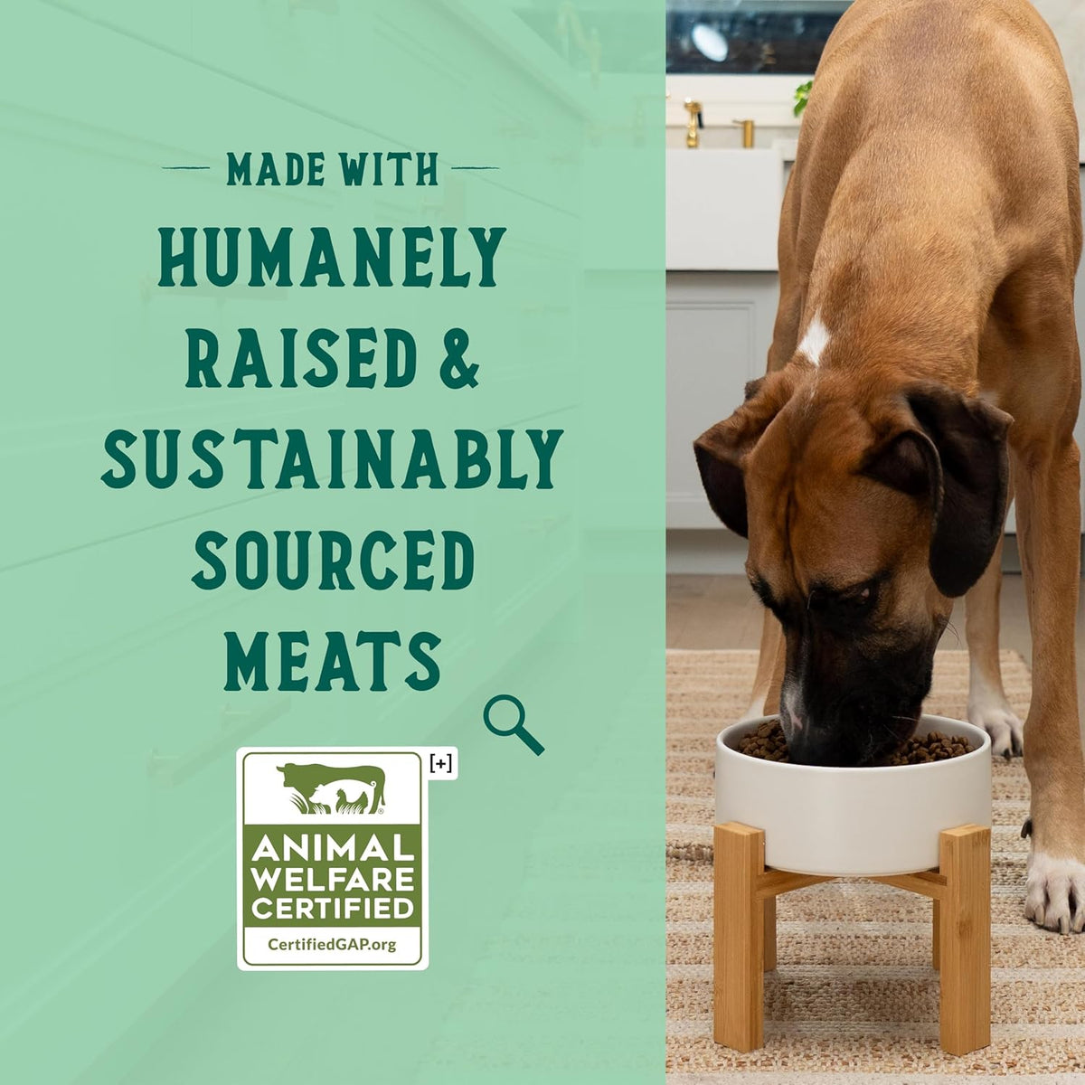 Open Farm Goodbowl, Oven-Baked Small Batch Dry Dog Food - Harvest Chicken & Brown Rice Recipe