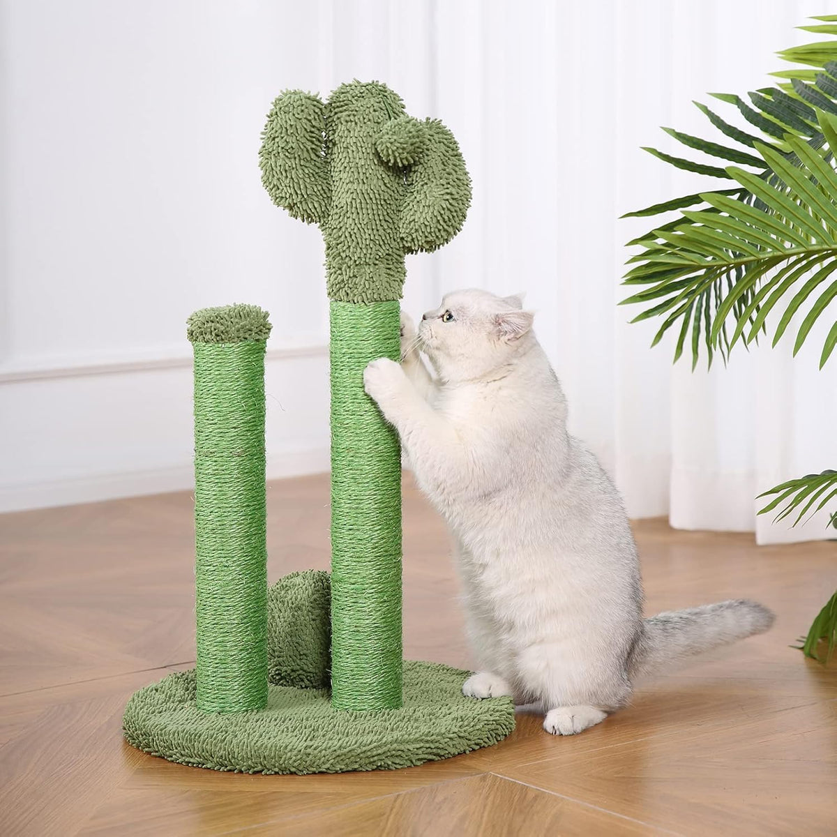 Amazon Basics Cat Scratcher - Indoor Cactus Triple Posts Cat & Kittens Scratching Post with