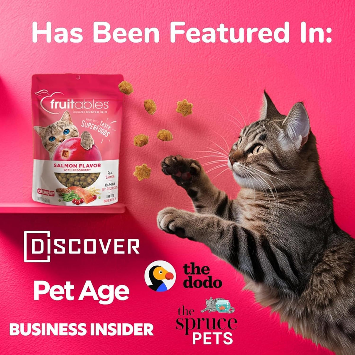 Fruitables Cat Treats, Healthy Treats For Cats, Low Calorie and Packed with Protein, Crunchy