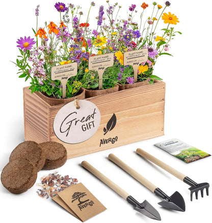 Wildflower Seed Mix Growing Kit - Includes Perennial & Annual Wild Flowers, Burlap Planters, Soil