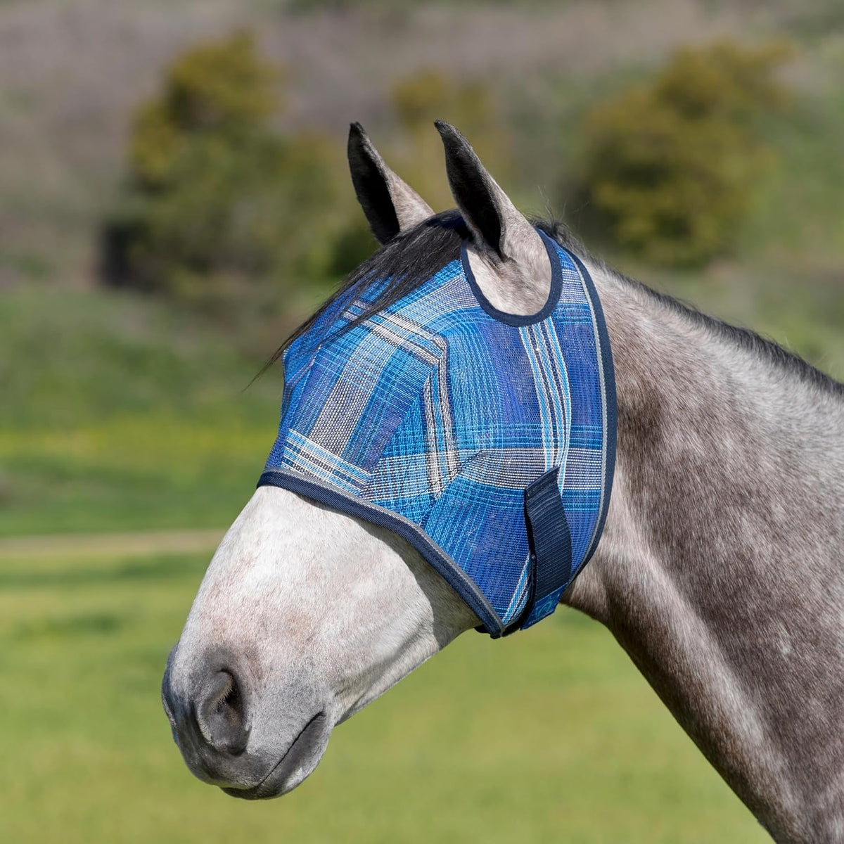 Kensington UV Horse Fly Mask with Web Trim - Protective Mask with Dual Ear Opening & Forelock