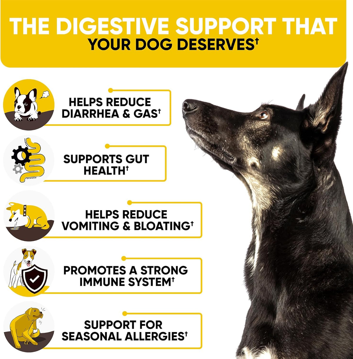 Probiotics Chews for Dogs w/Digestive Enzymes - Dog Probiotics to Support Gut Health, Alleviate Dog