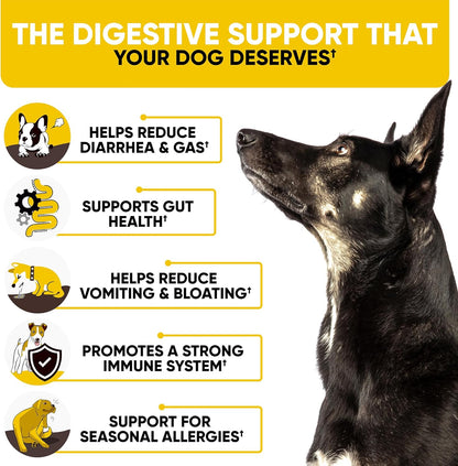 Probiotics Chews for Dogs w/Digestive Enzymes - Dog Probiotics to Support Gut Health, Alleviate Dog