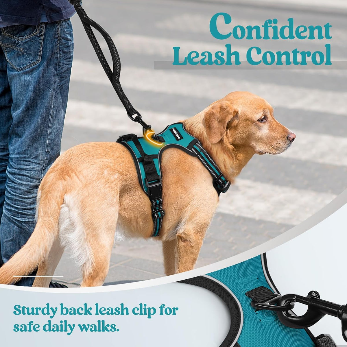 rabbitgoo Dog Harness No Pull with 2 Leash Clips, Adjustable Soft Padded, Reflective Oxford No