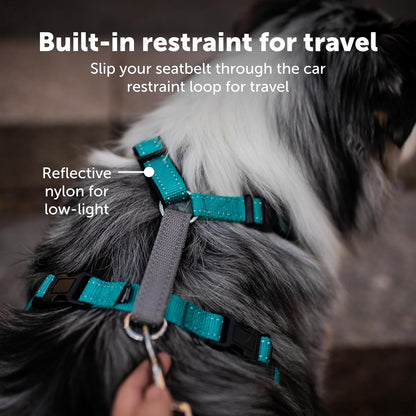 PetSafe 3 in 1 Dog Harness - No Pull Solution for Dogs - Reflective Dog Harness - Front D-Ring Clip