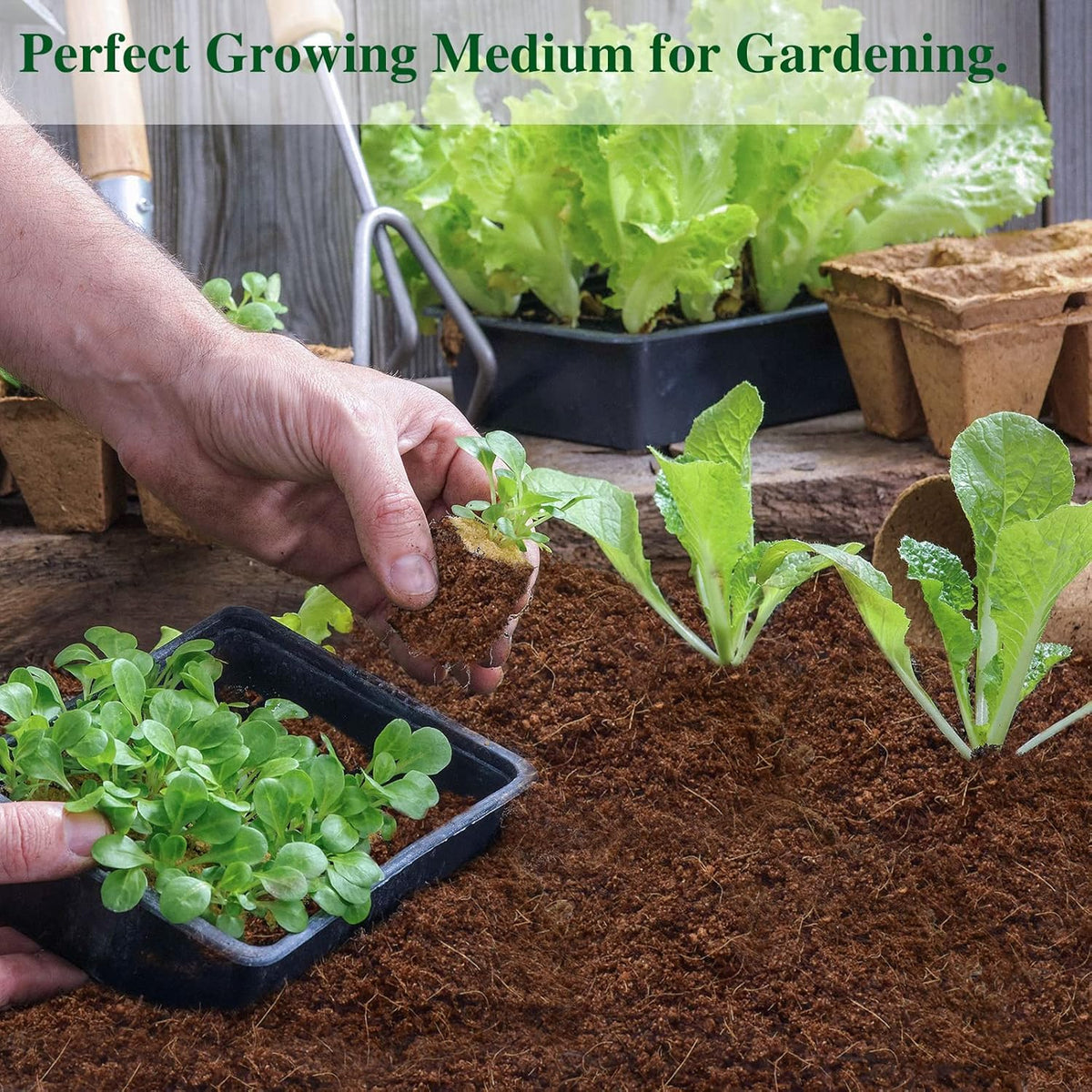 ZeeDix 10 Pack Premium Coco Coir Brick, Organic Compressed Coconut Coir Bricks Seed Starter Potting