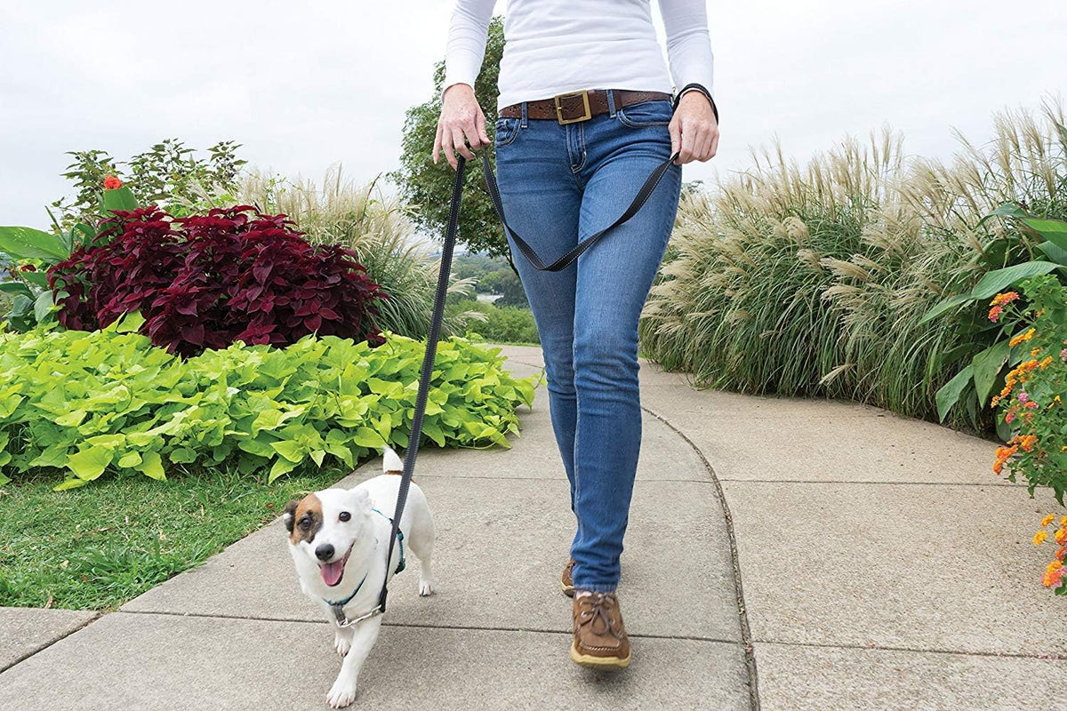 PetSafe 3 in 1 Dog Harness - No Pull Solution for Dogs - Reflective Dog Harness - Front D-Ring Clip