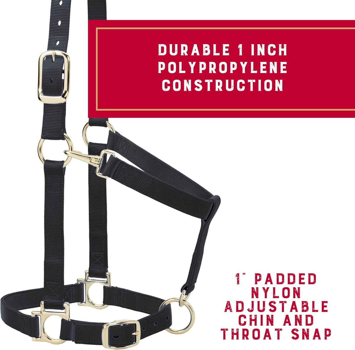 Weaver Leather Nylon Horse Halter, Padded and Adjustable, Chin and Throat Snap Hook Halters for
