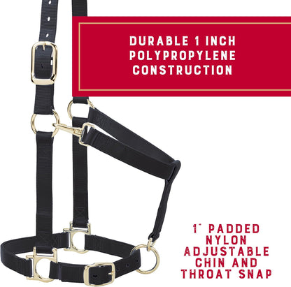 Weaver Leather Nylon Horse Halter, Padded and Adjustable, Chin and Throat Snap Hook Halters for