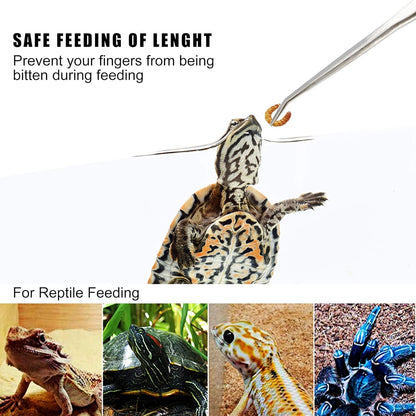 Longjet Kitchen Tweezers Metal Tongs for Cooking - Reptile Feeding Tongs for Gecko, Bearded Dragon