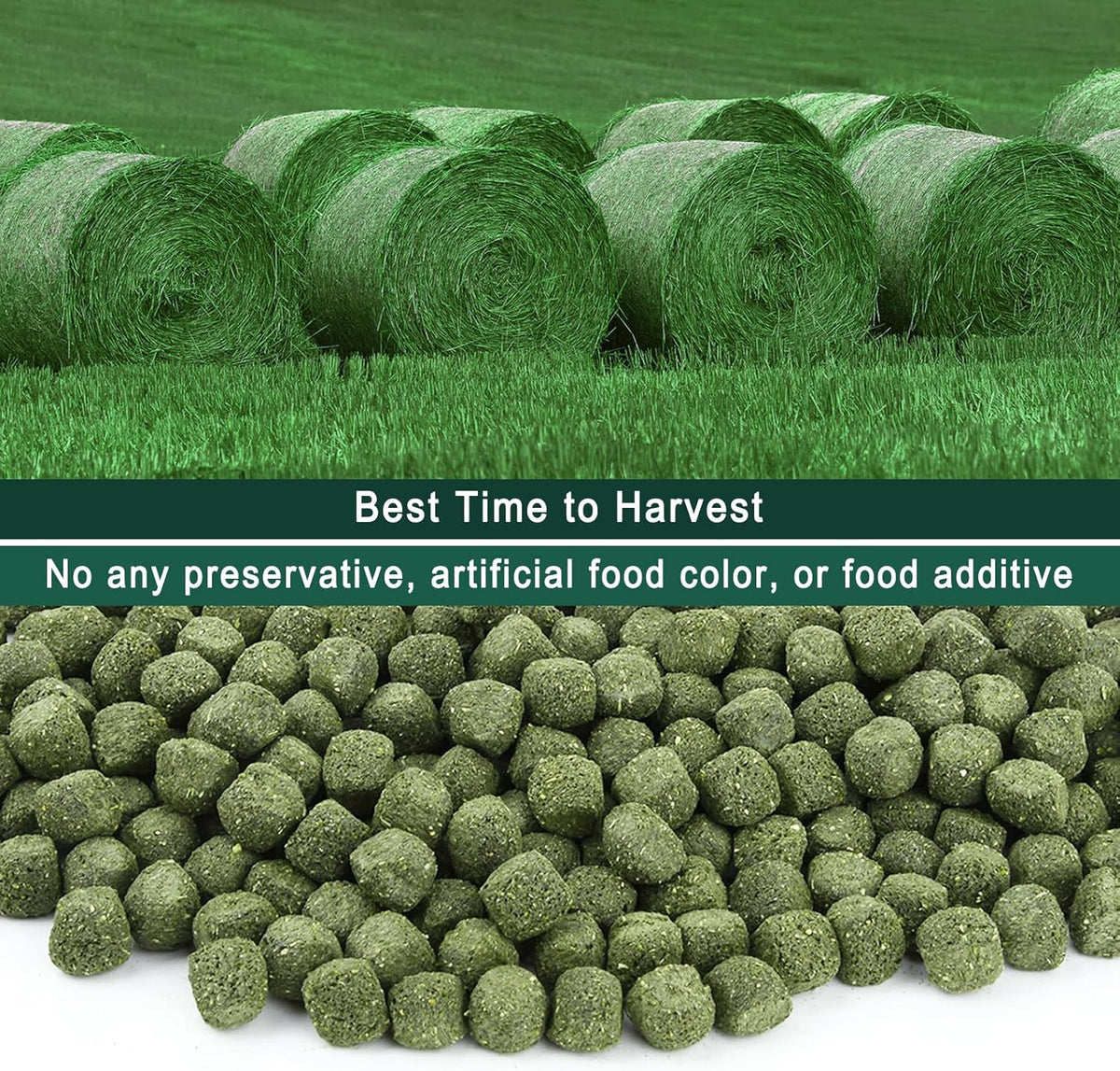 Timothy Hay Cubes 90 oz (9 * 10 oz) with Small Size - Timothy Grass Pellets for Tortoises Rabbits