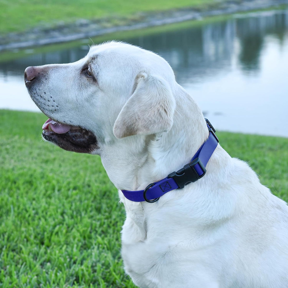 Dogline Biothane Waterproof Dog Collar with Quick Release Buckle Strong Coated Nylon Webbing with