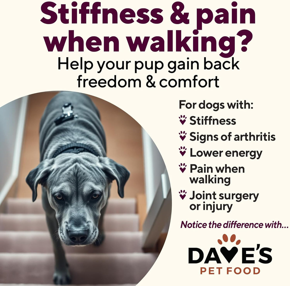 Dave's Pet Food Glucosamine Chondroitin for Dogs, Hip and Joint Support, Gluten-Free, Wet Senior