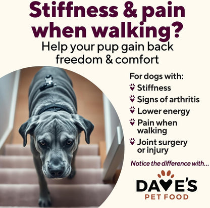 Dave's Pet Food Glucosamine Chondroitin for Dogs, Hip and Joint Support, Gluten-Free, Wet Senior