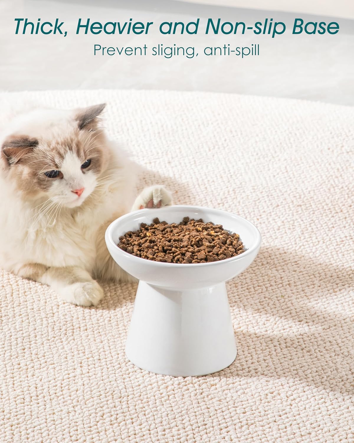 vancasso Ceramic Elevated Cat Bowls 2-Pack - 6.2" Extra Wide Raised Cat Food & Water Dishes, 5.1"