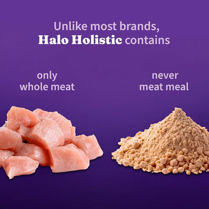 Halo Holistic Cage Free Chicken Cat Food, Healthy Grains Dry Cat Food, Complete Digestive Health