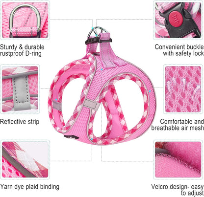 haapaw Dog Harness with Leash Set, No Pull Adjustable Reflective Step-in Puppy Harness with