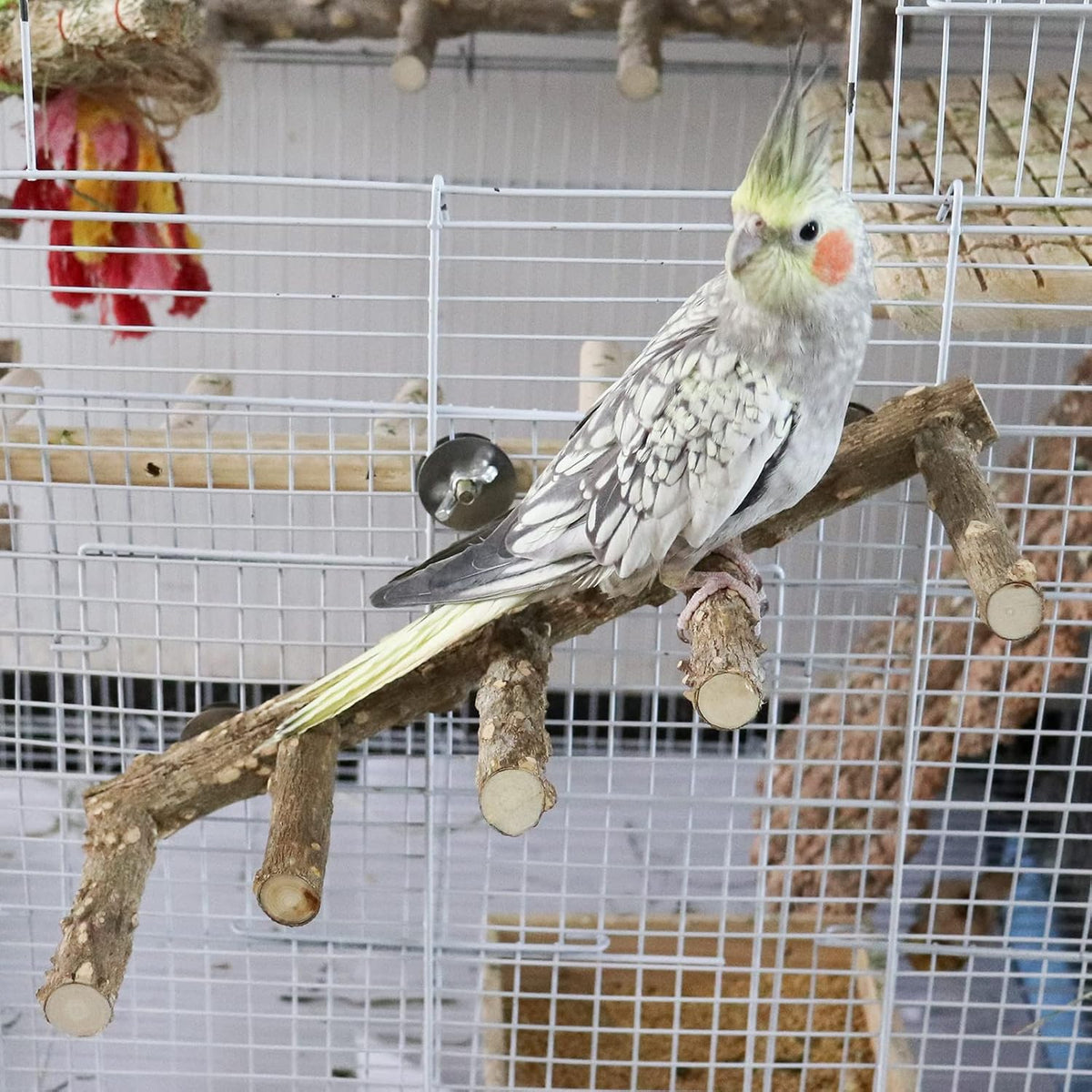 15.7 Inch Large Bird Perch Stand, Natural Wood Parrot Climbing Ladder Toys, Bird Cage Accessories