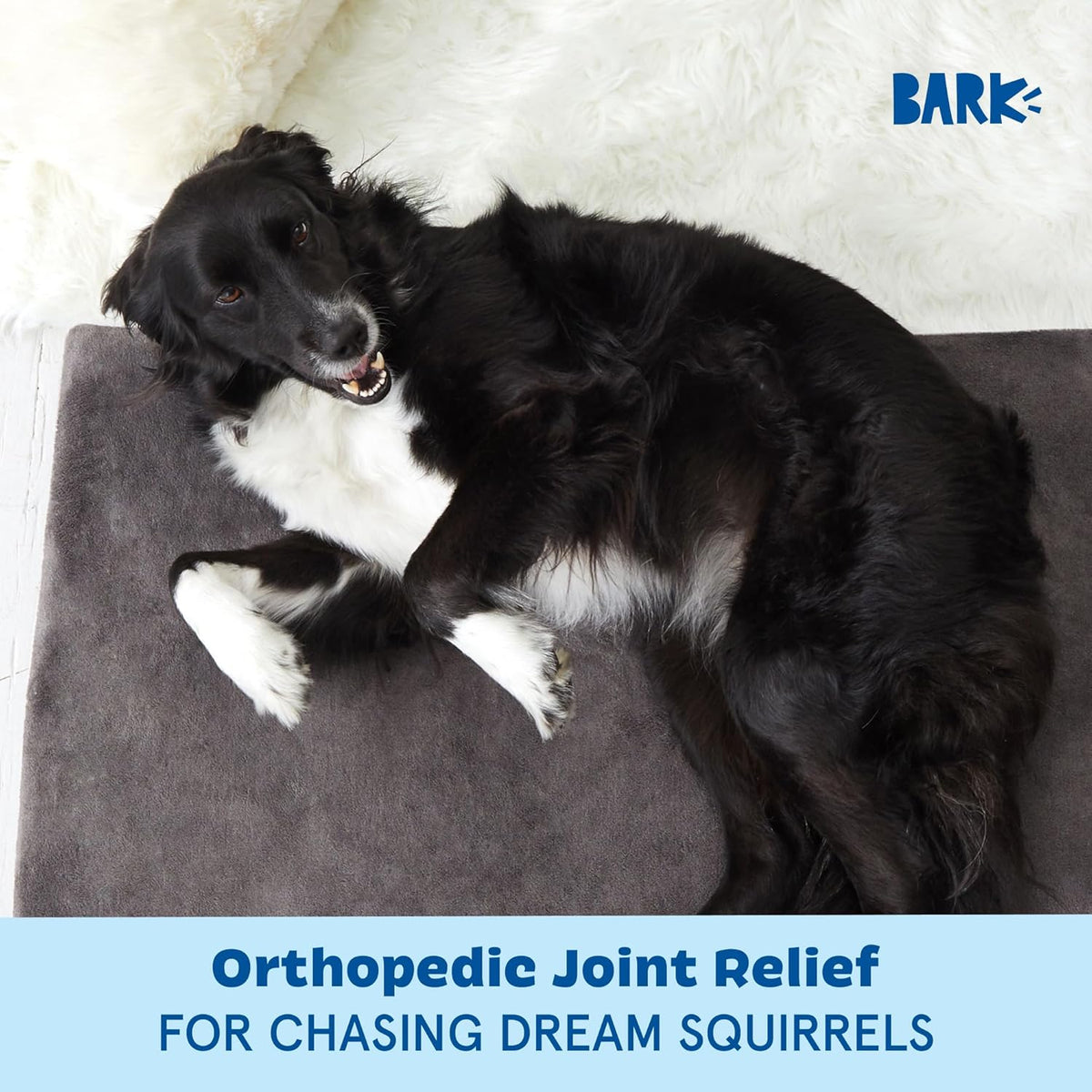 Barkbox Orthopedic Dog Bed with Memory Foam, Premium Comfort for Dogs and Puppies, Large Sized Dog