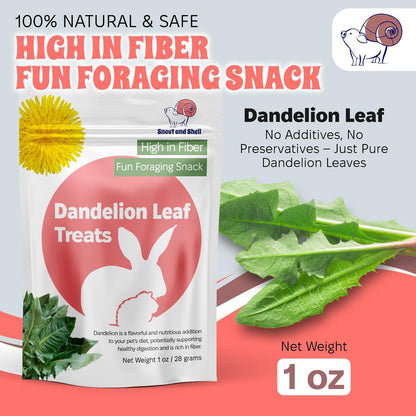 Snout and Shell Dandelion Leaf Treat for Small Pets – 1 oz (28g) | High-Fiber, Natural Foraging