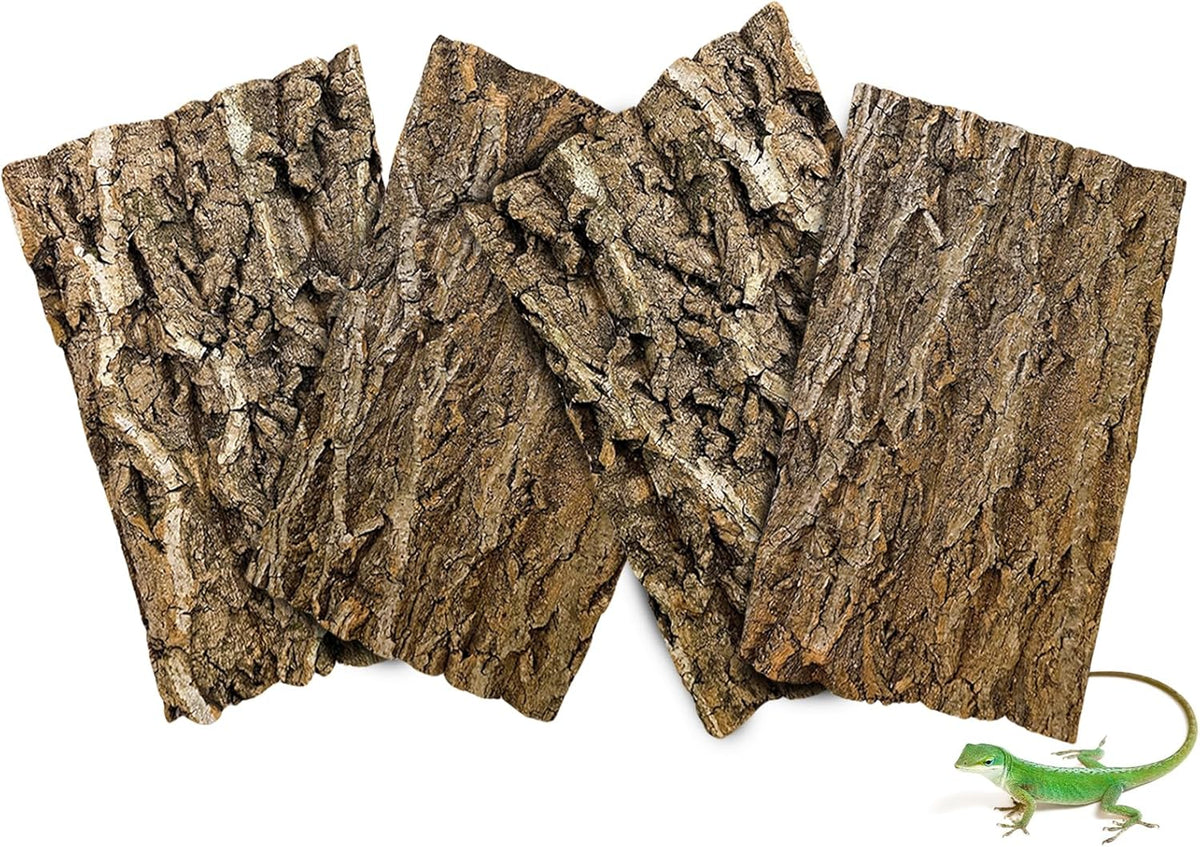 BNOSDM 4pcs Reptile Cork Bark Terrarium Background Bearded Dragon Tank Decor for Lizard Bearded