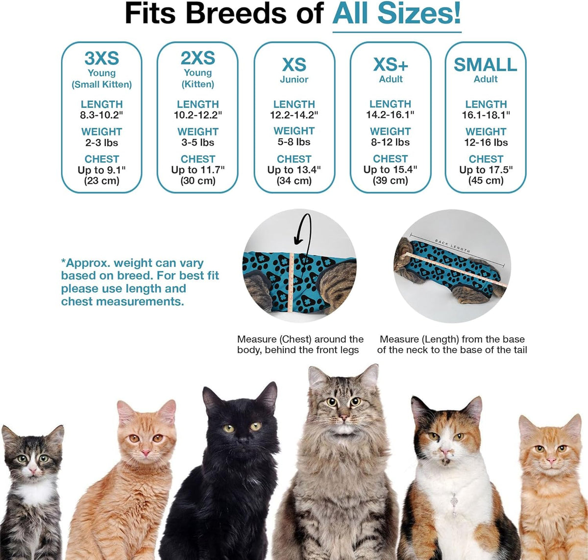 Bellyguard Cat Recovery Suit Female and Male, Comfy Onesie After Surgery, Kitten Clothes for