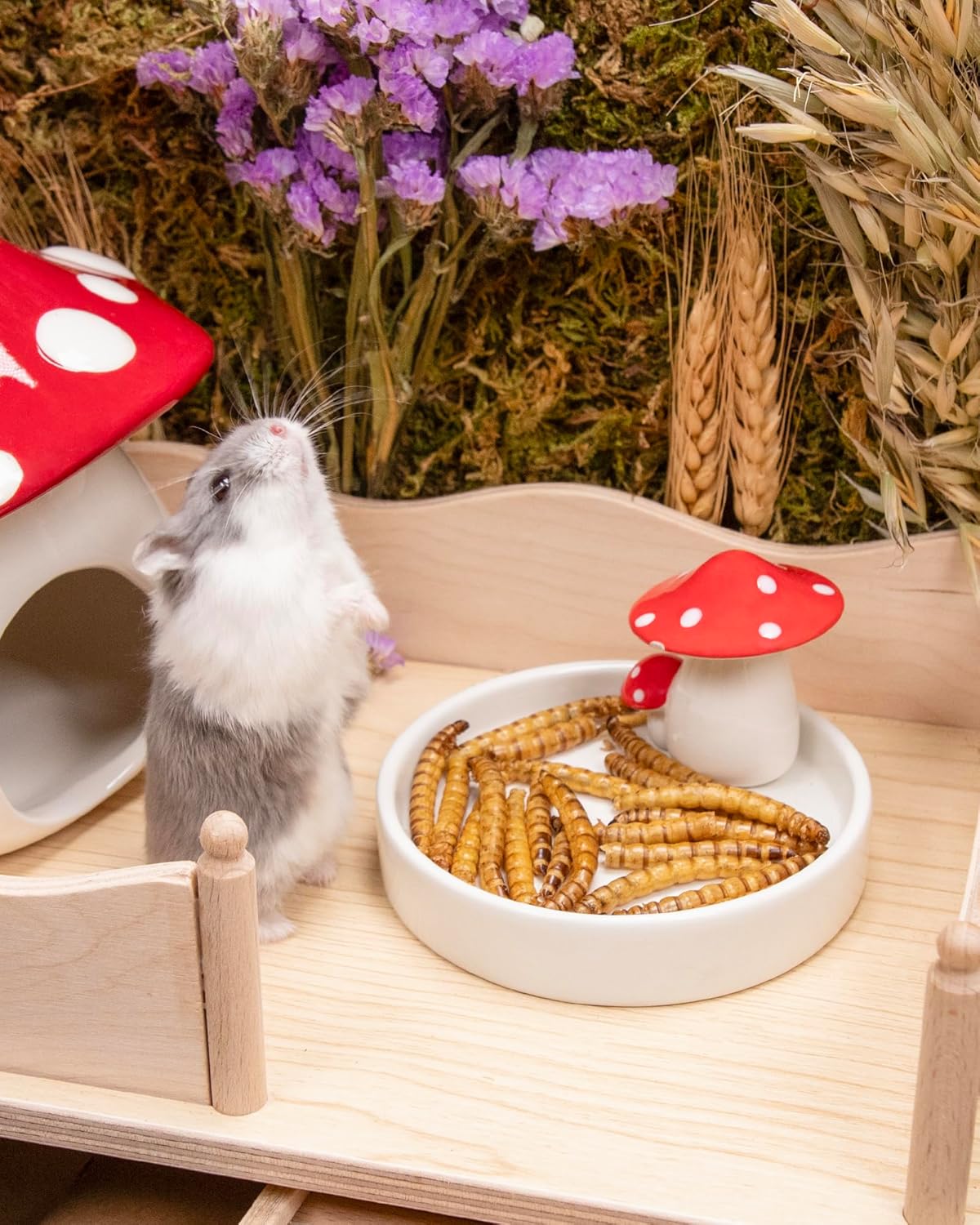 Niteangel Small Animal Snack & Treats - Small Critter Natural Treat for Dwarf Syrian Hamsters