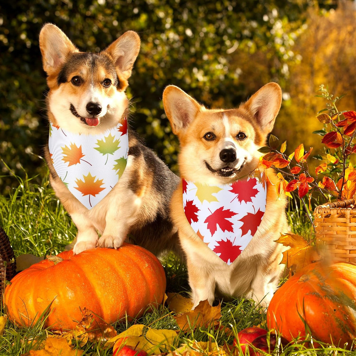 Abbylike 50 Pcs Fall Thanksgiving Dog Maple Leaves Bandanas Bulk Bandanas for Dogs Triangle