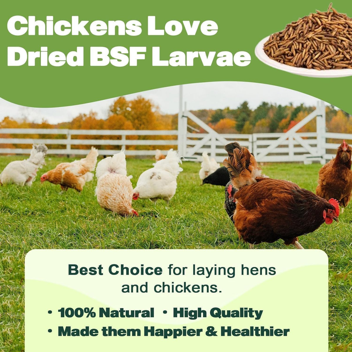 20LB Dried Black Soldier Fly Larvae, 86X Calcium Than Dried Mealworms, High Protein Non-GMO Organic