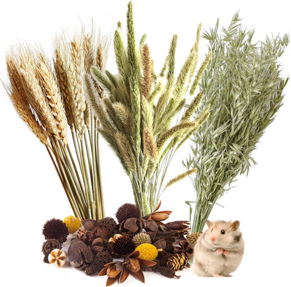 Natural Ear of Grain Flower&Herb Bedding Mate Habitat Decor, Adding Fun Hamster Accessories for