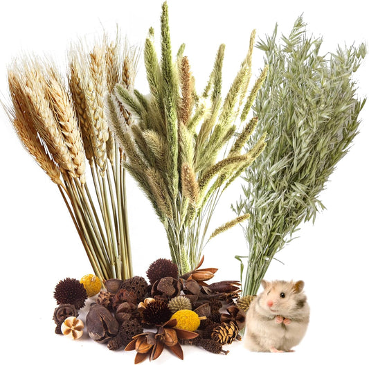 Natural Ear of Grain Flower&Herb Bedding Mate Habitat Decor, Adding Fun Hamster Accessories for