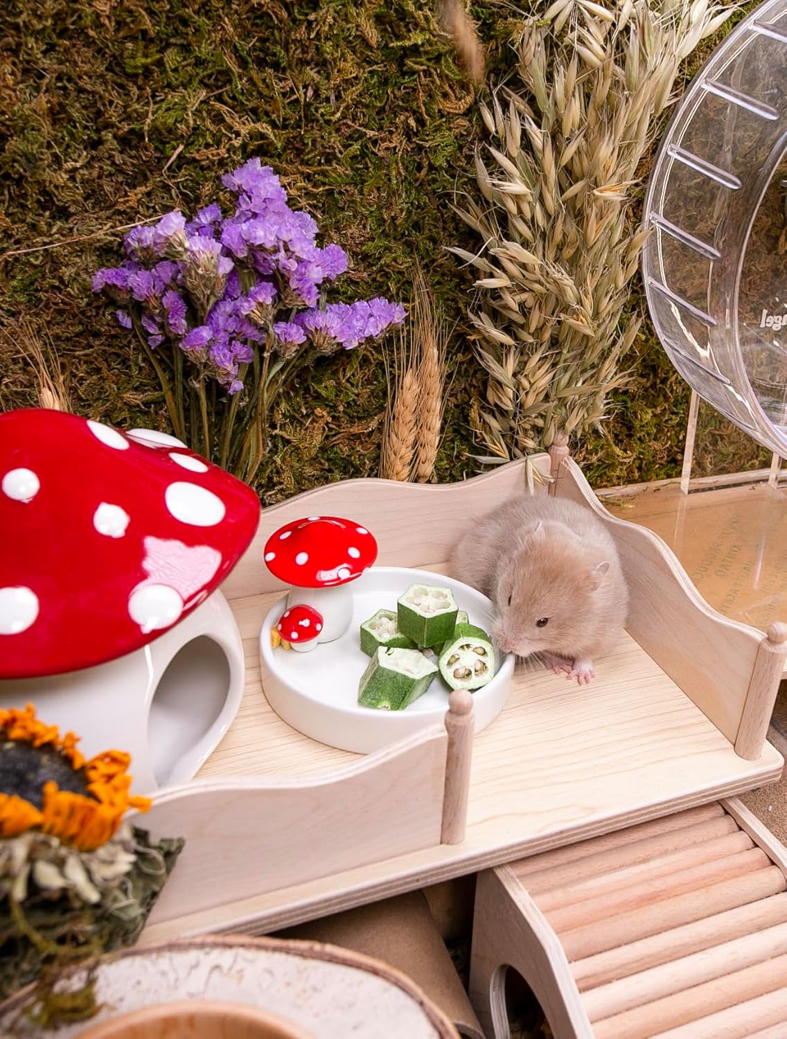 Niteangel Hamster Snack & Treats Toy - Small Animal Natural Treat for Dwarf Syrian Robo Hamsters