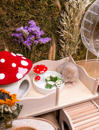 Niteangel Hamster Snack & Treats Toy - Small Animal Natural Treat for Dwarf Syrian Robo Hamsters