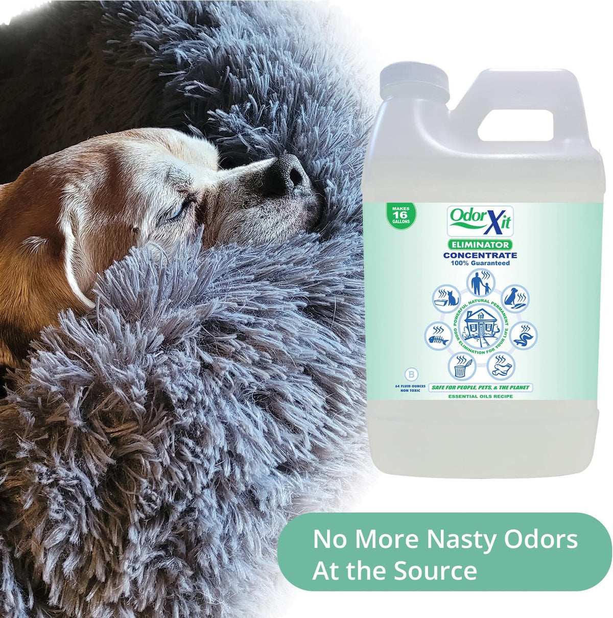 Concentrated Pet Urine Odor Eliminator, Ideal for Cat, Dog Poo and Urine Smell, Versatile & Natural