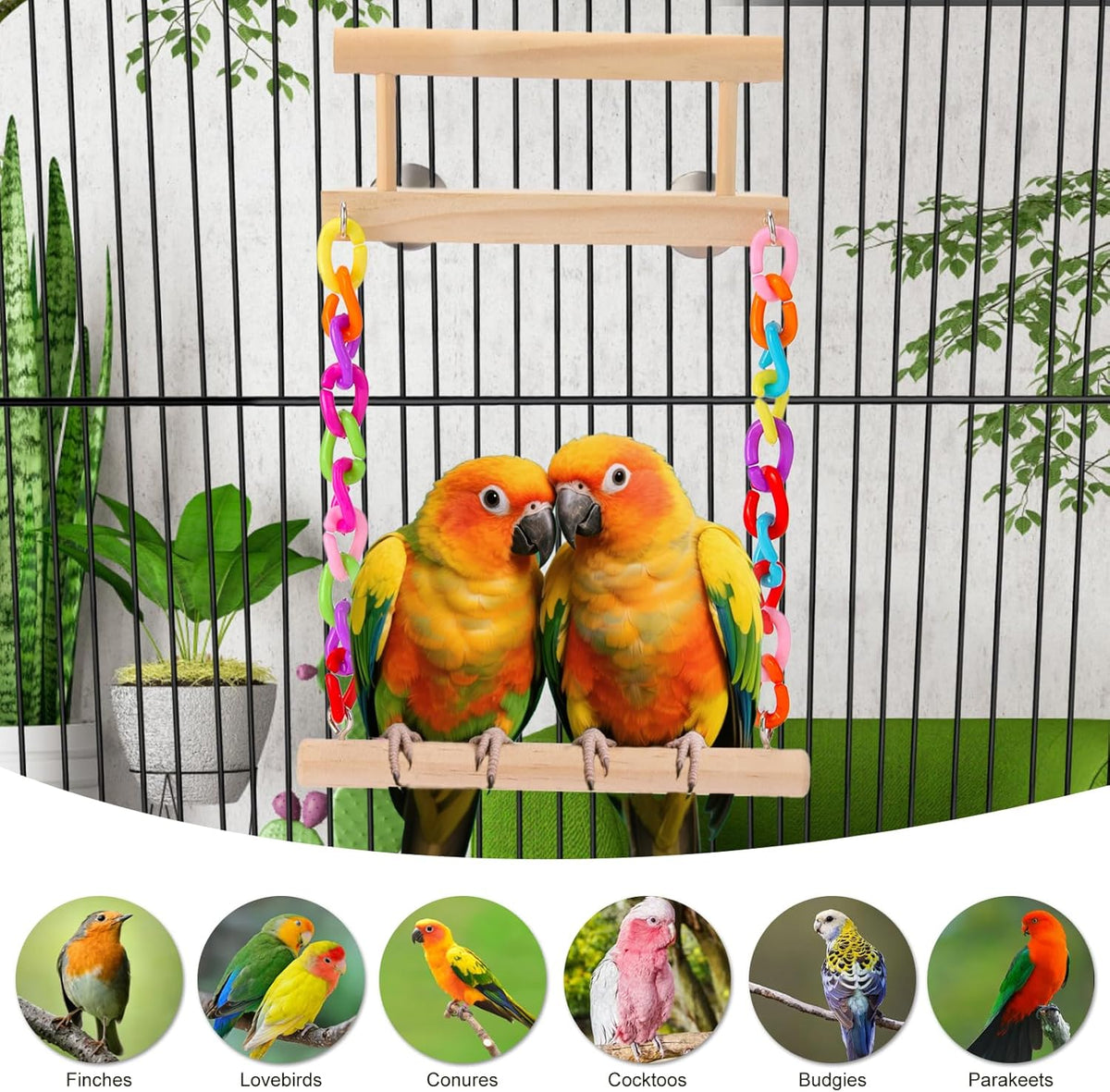 Kyouki Bird Perch Bird Cage Accessories Platform Swing - for Parrot,Parakeet,Budgies, Cockatiels