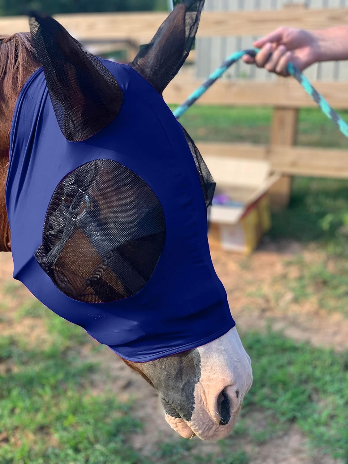 Horse Fly Mask - Durable Equine Fly Mask with Full Coverage for Eye & Ear - Stretchable, UV & Sun