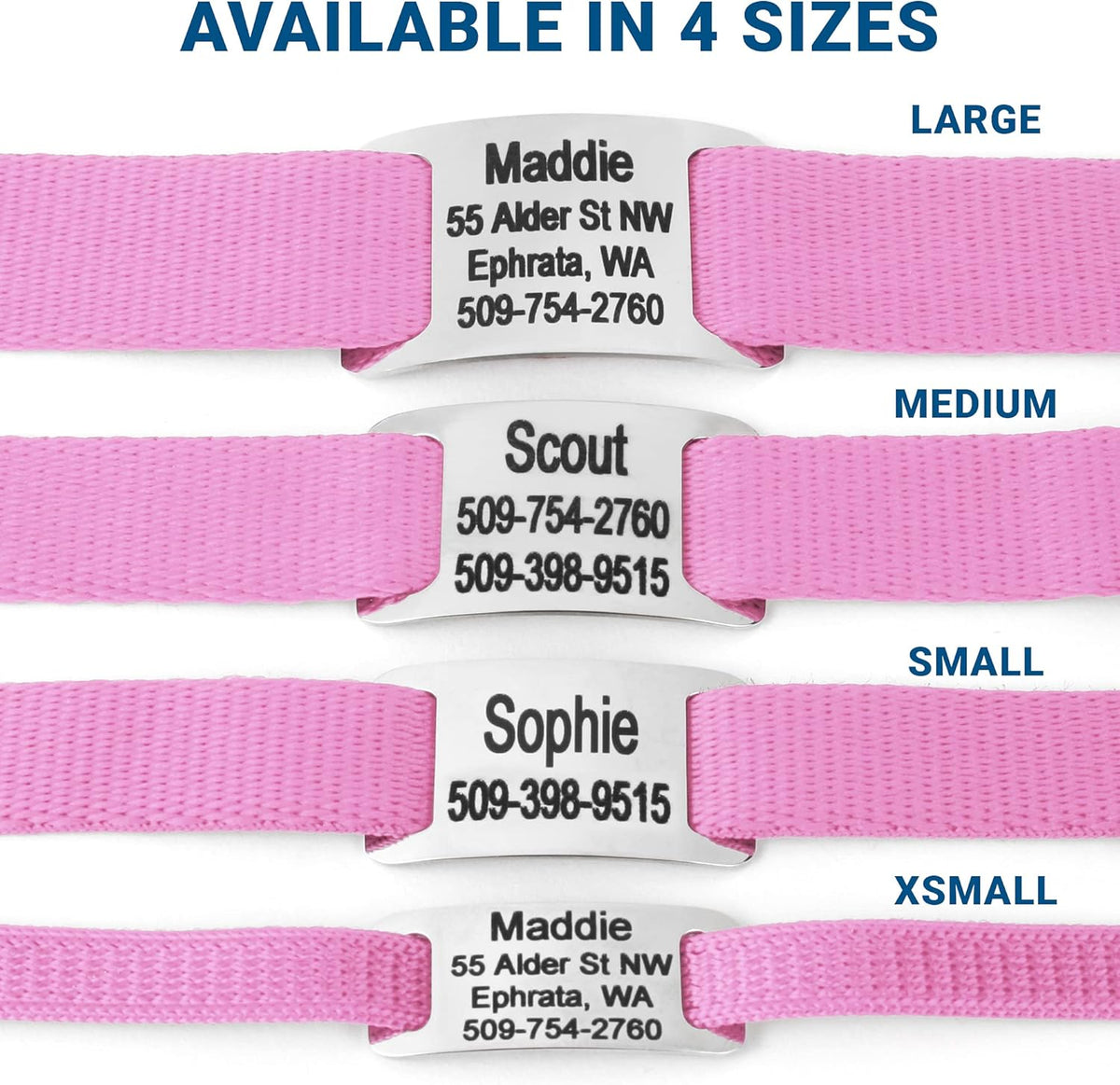 GoTags Personalized Dog Collar with Nameplate, Adjustable Dog Collar with Custom Engraved Slide On