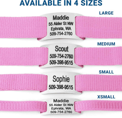 GoTags Personalized Dog Collar with Nameplate, Adjustable Dog Collar with Custom Engraved Slide On