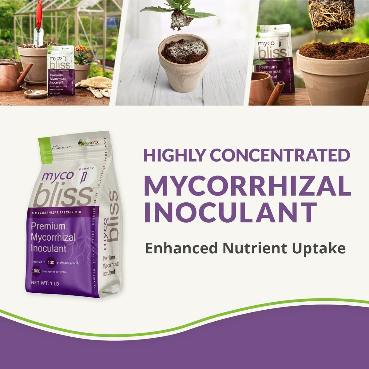 Coco Coir 650gm Bricks + Worm Castings + Mycorrhizal Inoculant + Neem Meal Fertilizer + Organic
