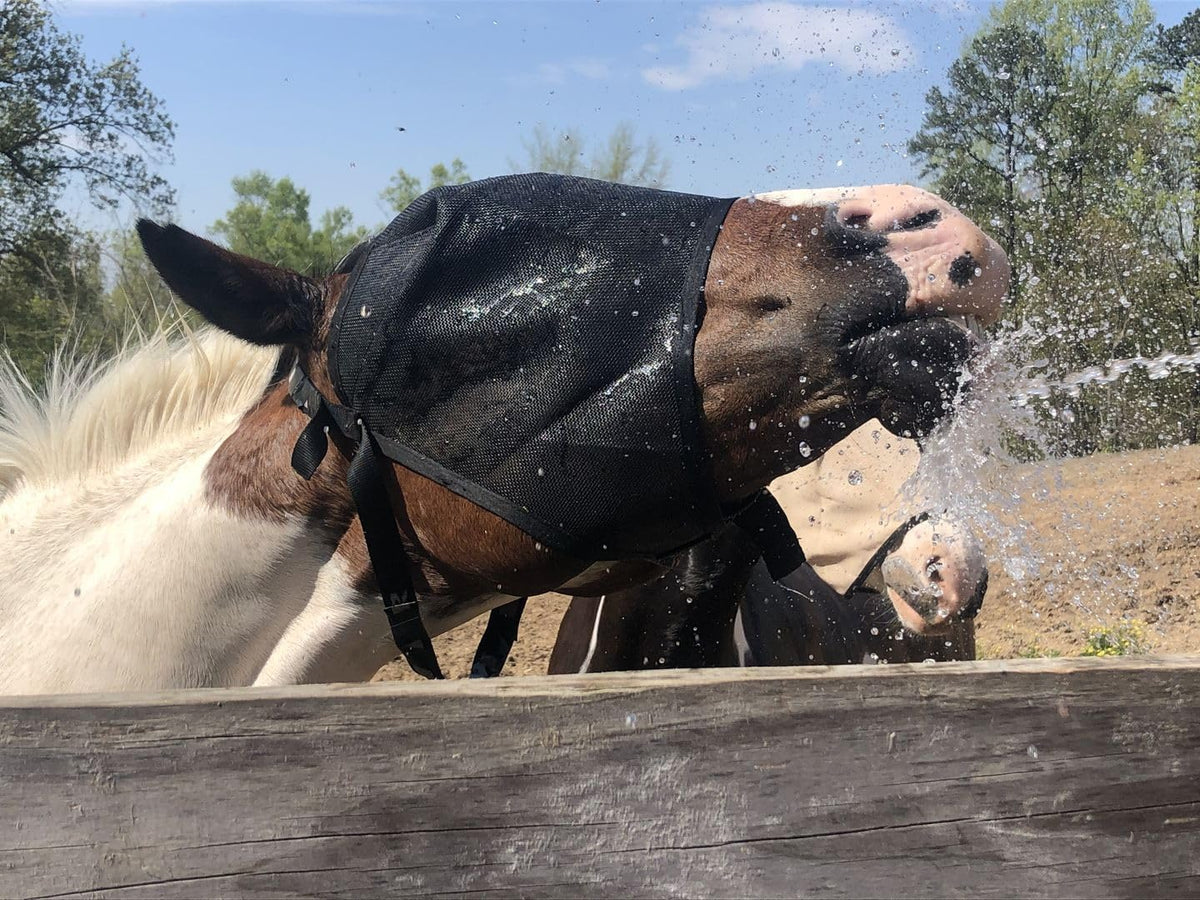 95% UV Eye Protection (Pony) Standard Horse Fly Mask - Help with Uveitis, Corneal Ulcer, Cataract