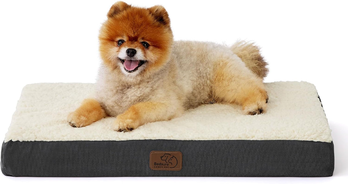 Bedsure Dog Bed for Small Dogs - Orthopedic Flat Puppy Beds with Removable Washable Cover, Egg