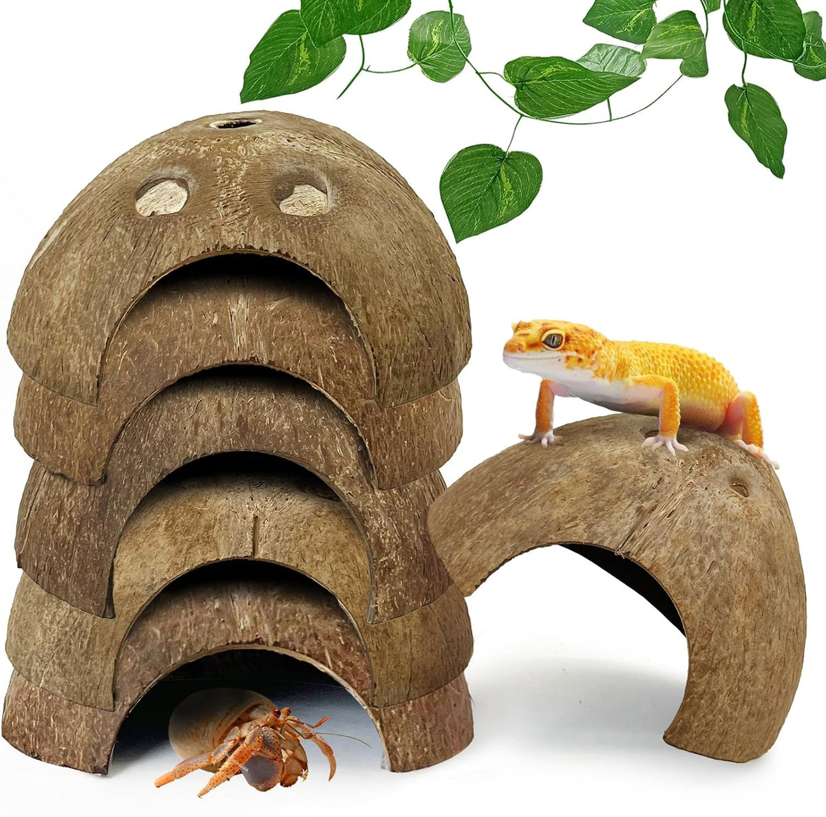 Hamiledyi 7 Pcs Reptile Hideouts Natural Coconut Shells Hut Leopard Gecko Tank Accessories for
