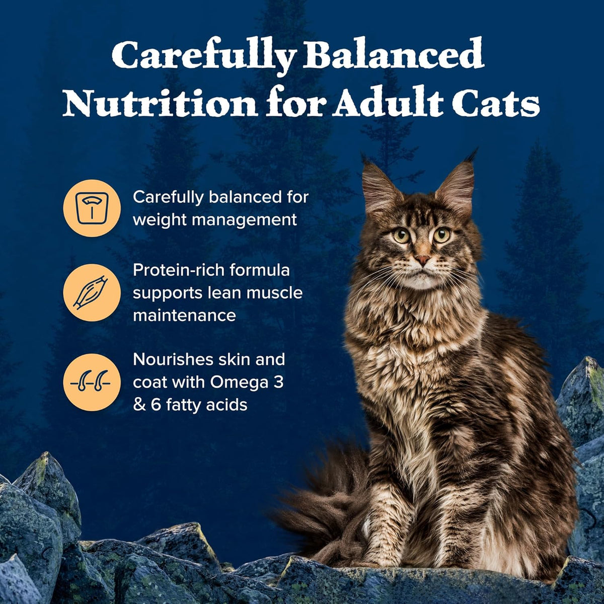 Blue Buffalo Wilderness High-Protein, Grain-Free Natural Dry Food for Adult Cats, Weight Control