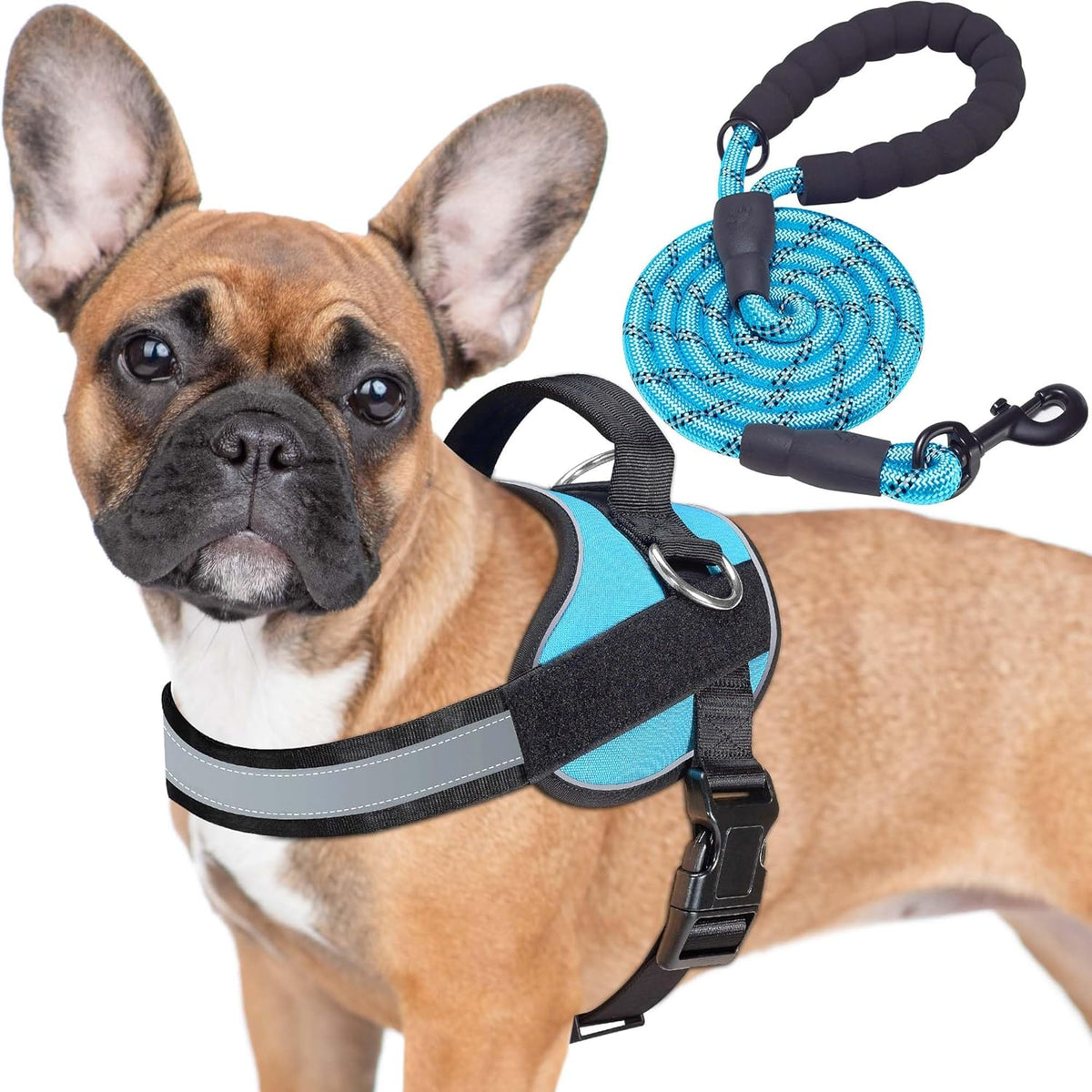 Haapaw Essential Dog Harness, No Pull Pet Vest with 3 Leash Clips, No Choke, Reflective, Adjustable