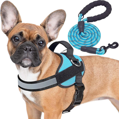 Haapaw Essential Dog Harness, No Pull Pet Vest with 3 Leash Clips, No Choke, Reflective, Adjustable